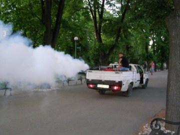 Комари като врабчета нападнаха Бургас, спешно пръскат от утре