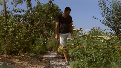 Млад мъж напусна града, направи си ботаническа градина в дядовата къща