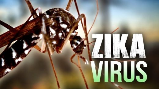 Обявиха има ли риск от вируса Зика за България