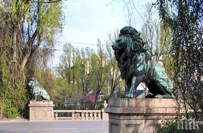 Шок! Жена падна и почина в краката на минувачите на "Лъвов мост""