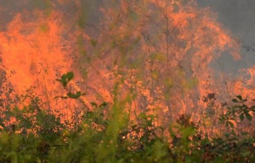 Потушен е пожарът край Маджарово, но бедственото положение остава