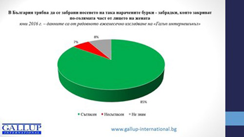 "Галъп": 68% против турски граждани да влизат в България без визи