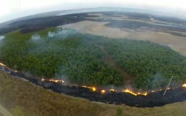 Десетки българи евакуирани заради огромния пожар край Тополовград