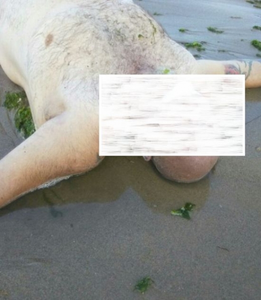 Първи потресаващи СНИМКИ от трагедията край устието на река Камчия (18+)