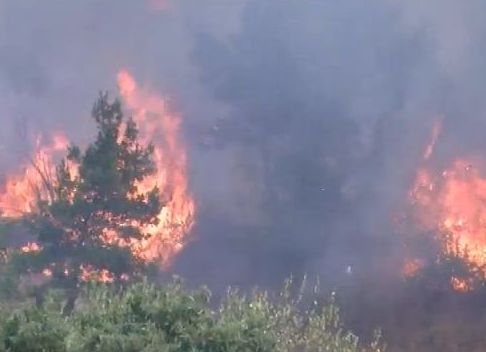 Пожарът край Главан е овладян, цяла нощ повече от 100 души се бориха с пламъците