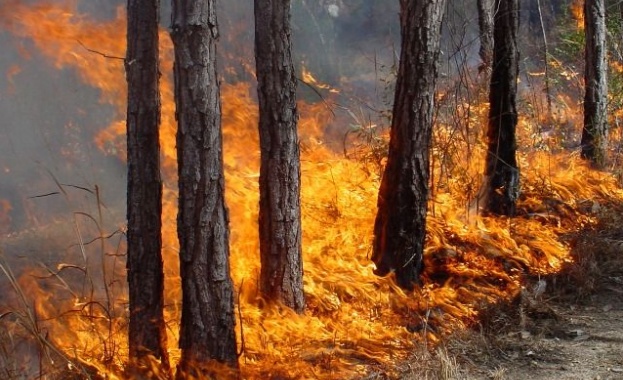 Ядрото на огнения ад край Граматиково още тлее, пожарникари се мъчат да стигнат до него
