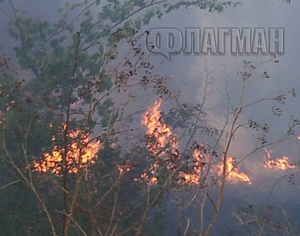 Пожар вдигна на крак огнеборците край Карнобат