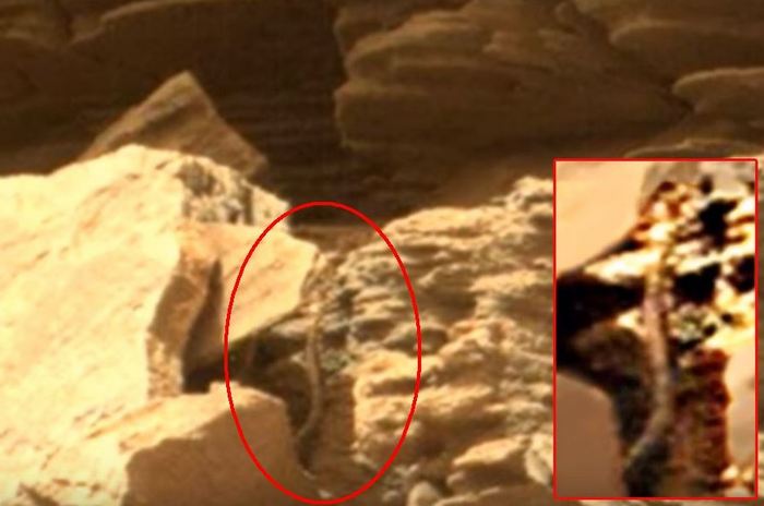 Гигантска змия намерена на Марс (ВИДЕО)