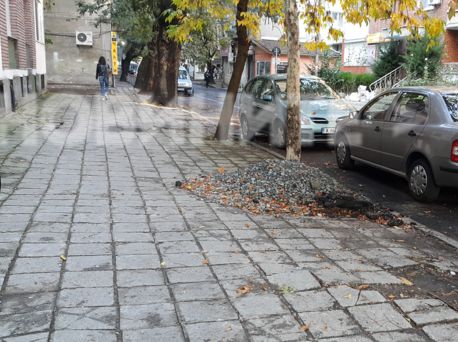 Засипаха дърво в центъра на Бургас с чакъл и части от асфалт