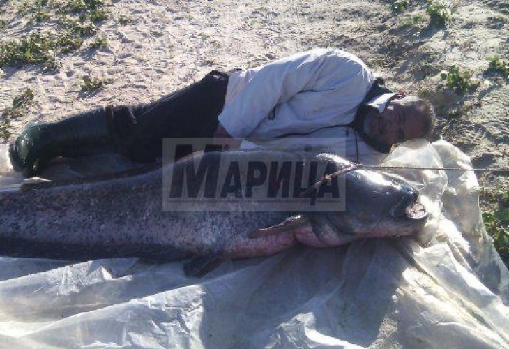 Вижте какво чудовище извадиха от язовир край Пловдив (СНИМКИ)