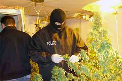 Само във Флагман.бг! Криминалисти разработвали месец  37-годишния Александър, спипан с килограм марихуана в Българово