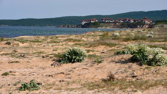 МОСВ сметна с 50 декара по-малко защитена местност край Созопол
