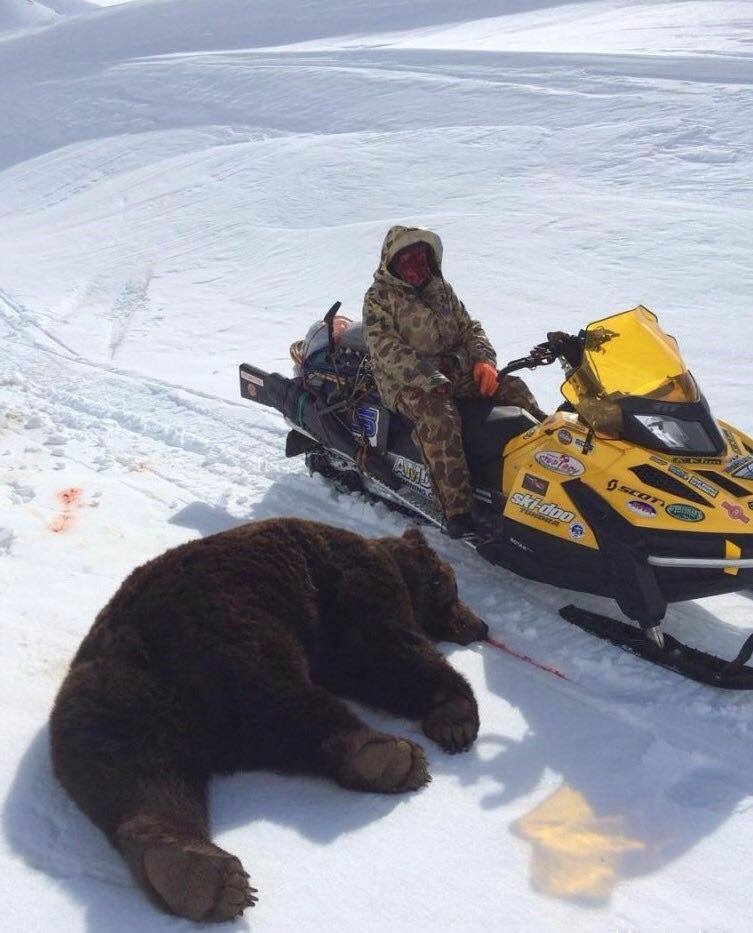 Кървав ужас! Не ходете на лов за мечки! Гризли изяде лицето на мъж, после последва чудо... (БРУТАЛНИ СНИМКИ 18+)