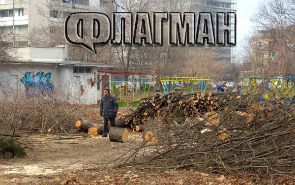 Бургаският ж.к."Славейков" завря заради отсечени дървета до Поморина. Инвеститорът: Всичко ни е законно