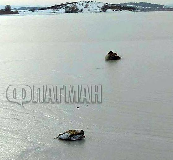 На вниманието на РИОСВ-Бургас: Лебед бедства в Мандренското езеро, спасете го!