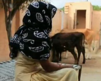 Индийци споделят съпругите си братята си, за да не делят имоти
