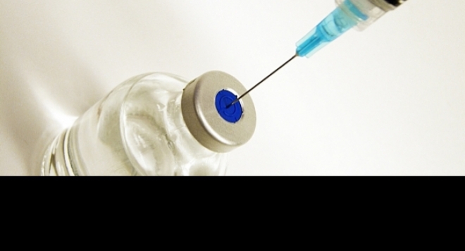 Плъзна шарка в България, ваксини няма