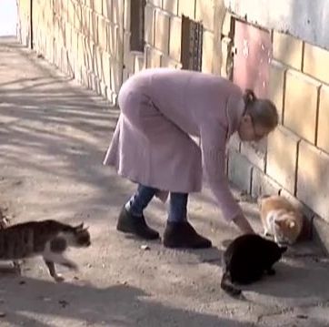 Глобиха бедна пенсионерка, защото храни кучета и котки