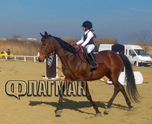 7-годишната Димана от София е най-малкият ездач на Тодоровден в Бургас