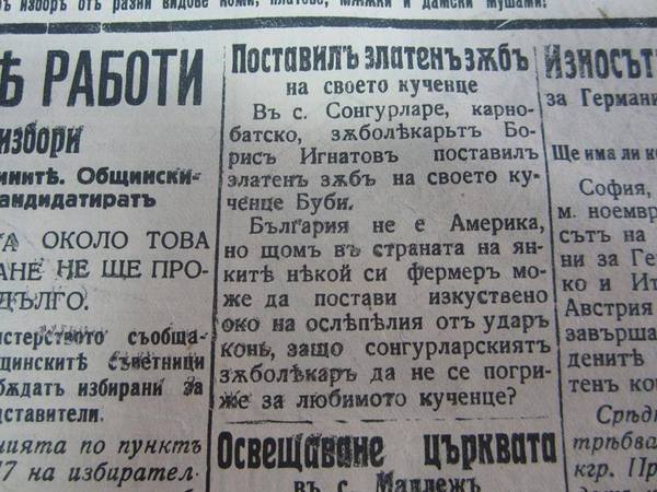 Ретро Бургазъ! По американски: Зъболекар постави златен зъб на любимото си кученце