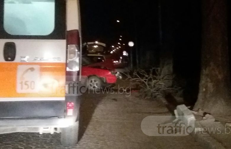 Пияни роми се забиха в дърво на път за Столипиново