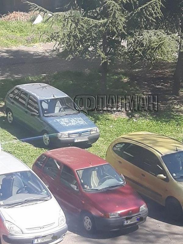 Бургазлии пропищяха от мързеливи шофьори: В ж.к. "Славейков" всеки паркира, където си иска (СНИМКА)