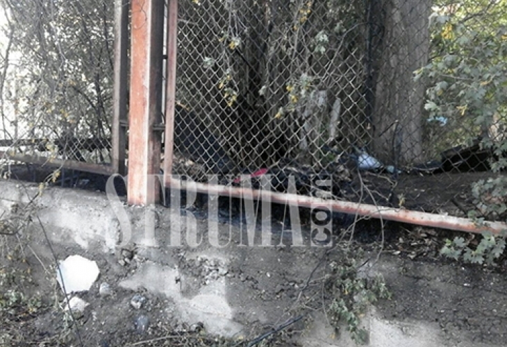 Невиждана жестокост потресе България навръх Цветница! Запалиха сакато куче в двора на гимназия (БРУТАЛНИ СНИМКИ 18+)