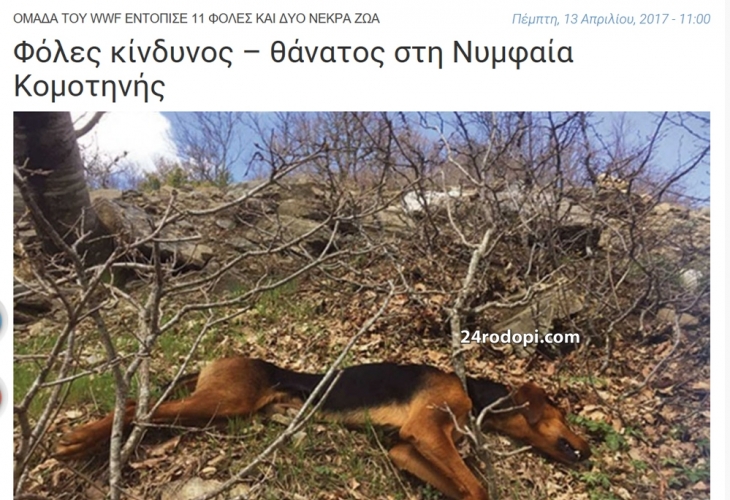 Наш сериен убиец на кучета вилнее и в Гърция! 11 убити животни в района на Маказа