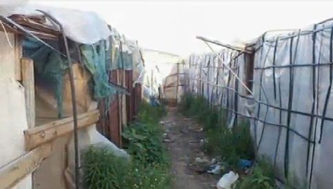 Роми от България живеят в бараки от картони в Италия (ВИДЕО)