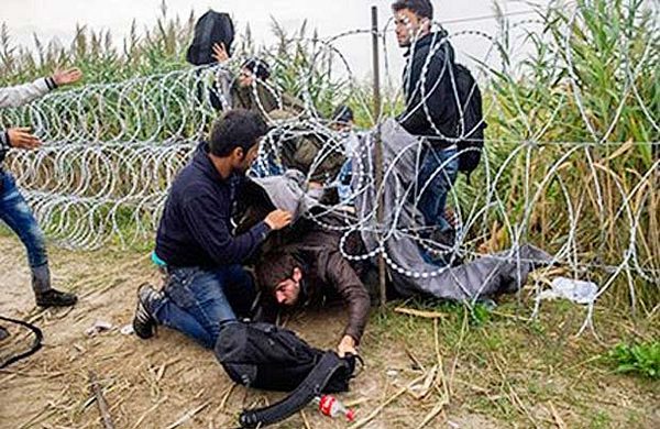 Заловиха 53 нелегални мигранти при опит да преминат границата на „Дунав мост“