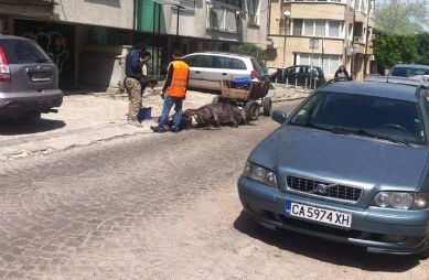 Кон припадна от жажда в София