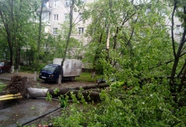 Ужас без край! Стихията в Москва не спира да взима жертви, сред загиналите има и малко дете (СНИМКА/ВИДЕО)