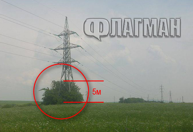 Опасността от пожари расте! Растителност обхвана тези важни електрически стълбове в Бургаско (СНИМКА)