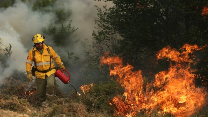 Сезонът на пожарите започна! Огнена стихия погълна хиляда декара жито