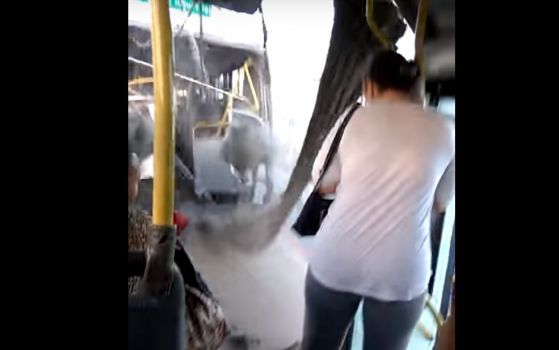 Автобус от градския транспорт в Бразилия се разцепи в движение (видео)