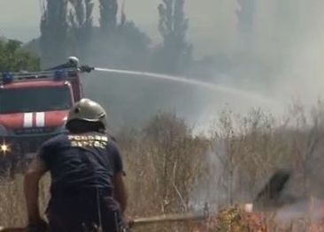 Локализираха пожара между Изворище и Банево, горят 150 дка борови гори