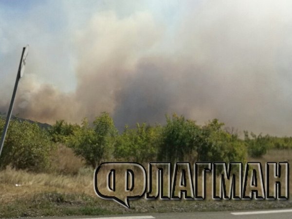Извънредно! Нов пожар край Изворище, десетки бургаски огнеборци на крак (СНИМКИ)