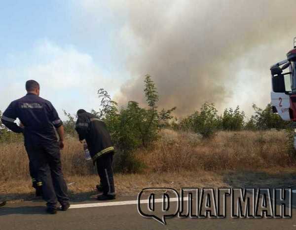 Шокиращо от големия пожар край Бургас! Чакат пламъците да погълнат над 100 дка гора, районът е обезопасен(СНИМКИ)