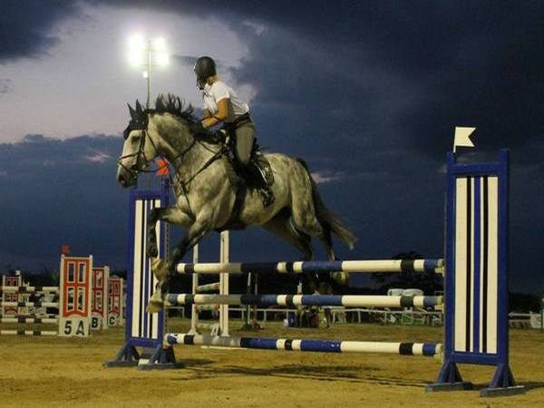 Гледайте на живо невероятното зрелище - фестивала на конния спорт в Бургас