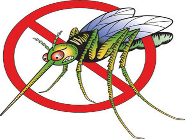 Обработват зелените площи против комари, вижте графика до края на август