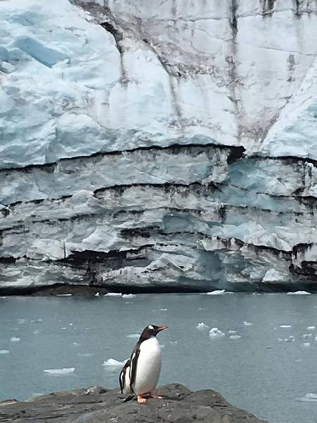 Бургазлии ще видят красотата и проблемите на Антарктида в изложба  и филм