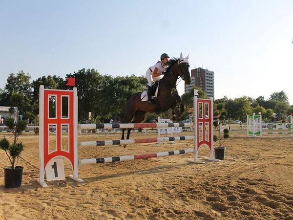 Започнаха надпреварите за "Купа Бургас 2017", гледайте на живо уникалния фестивал на конния спорт