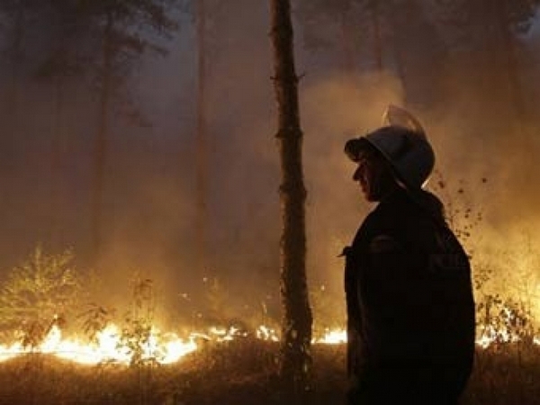 Бедствие в Шуменско! Истинско огнено страшилище обхвана скалния феномен Мечката!