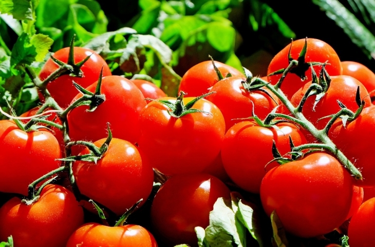 Български учени в създадоха нов сорт домати с поетично име! (ВИДЕО)