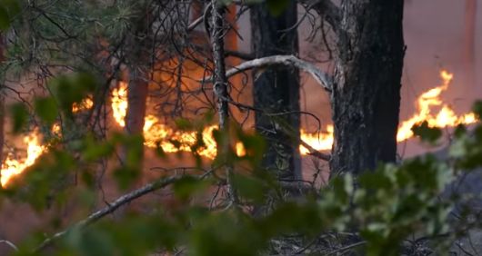 Пожарът край Кресна отново се разгоря