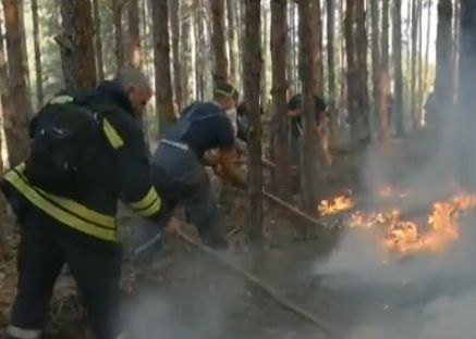 Гората край Кресна продължава да гори, евакуацията на Влахи е отменена