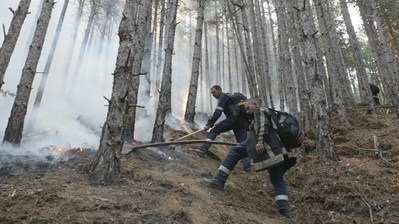 Екопастир - циганин запалил пожара в Пирин, кресливите зелени не се мярнаха край пожара