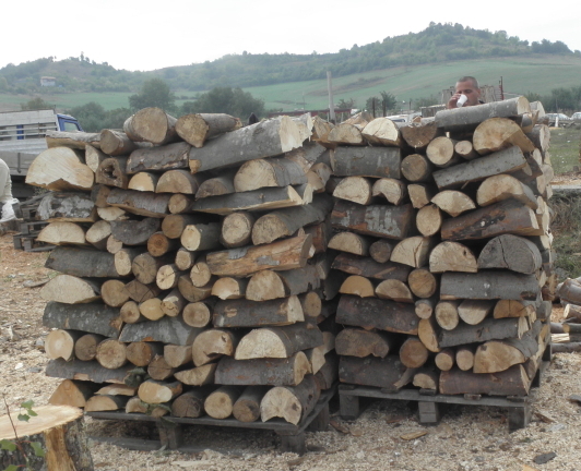 Вижте какви номера въртят търговци на дърва в Бургаско