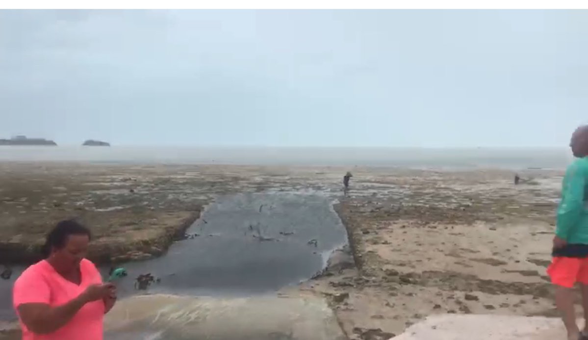 Къде е океанът? „Ирма” изсмука водата край плажовете на Бахамите