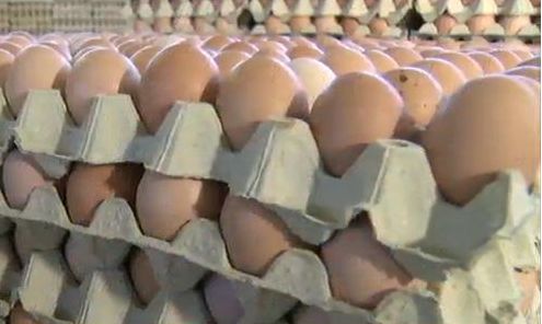 Откриха опасни български яйца с фипронил на пазара